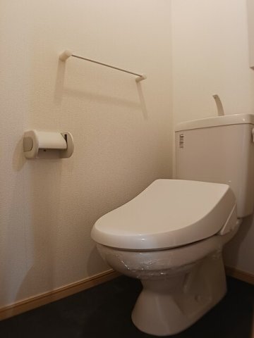 拡大写真:辻ヶ花 弐番館 2階203の落ち着いた色調のトイレです