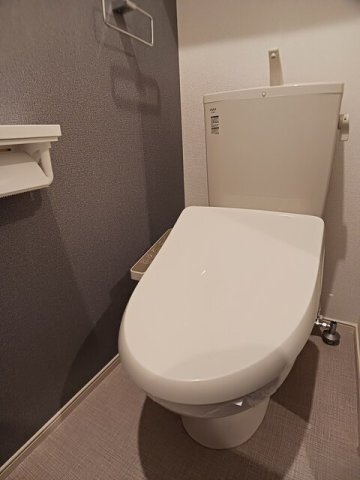 拡大写真:トイロアラヤ 1階102のトイレも気になるポイント