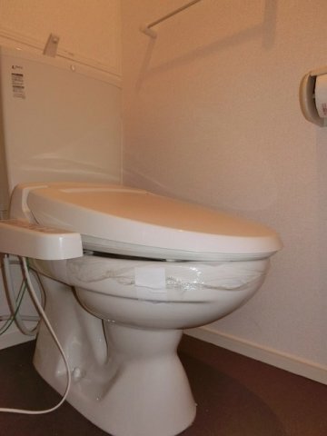 拡大写真:アビタシオン 2階201のトイレです