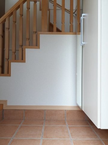 拡大写真：サン・フレイムハウス 1階101のきれいな玄関です
