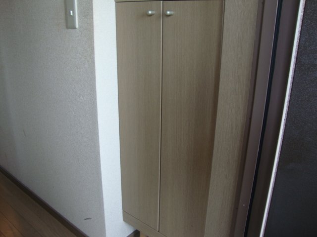 拡大写真:エヴァーグリーン 1階101の玄関