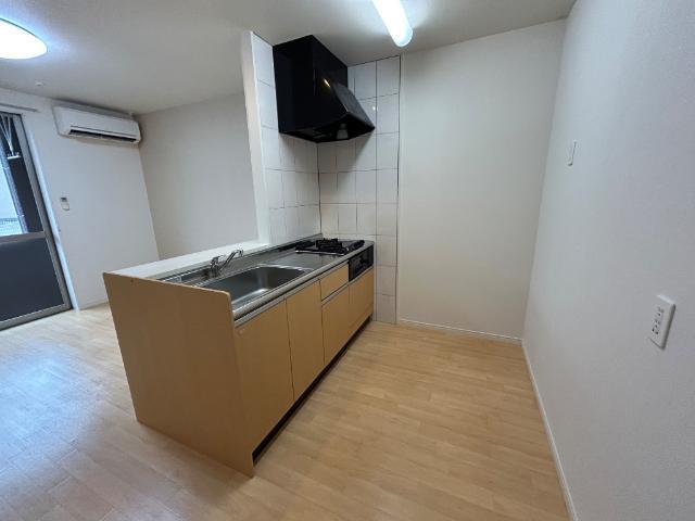 拡大写真:Maison de Cherir.Y 1階101のキッチン
