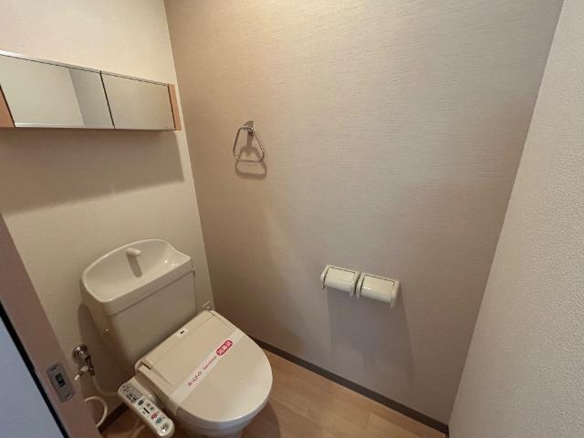 拡大写真:Maison de Cherir.Y 1階101のシャワー付トイレ