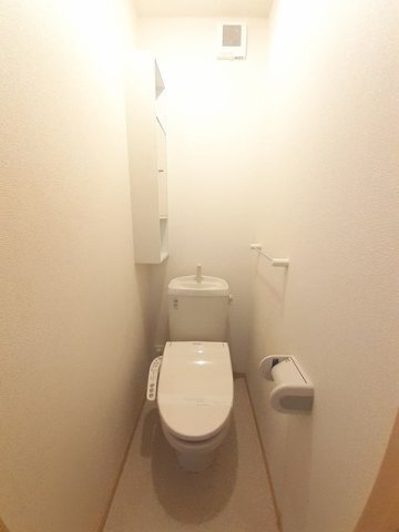 拡大写真:セイバリー・K 1階102の落ち着いた色調のトイレです