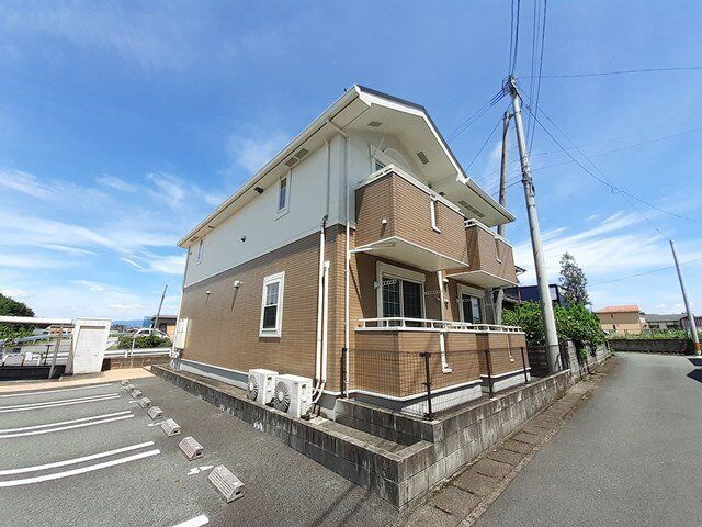 パンジーの外観
