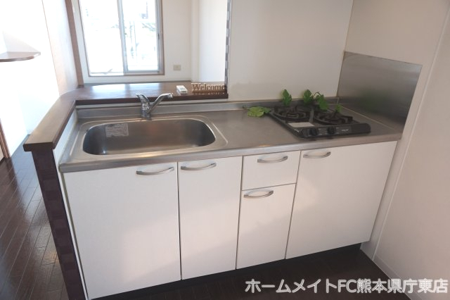 拡大写真:熊本市中央区水前寺5丁目 5階502のキッチン