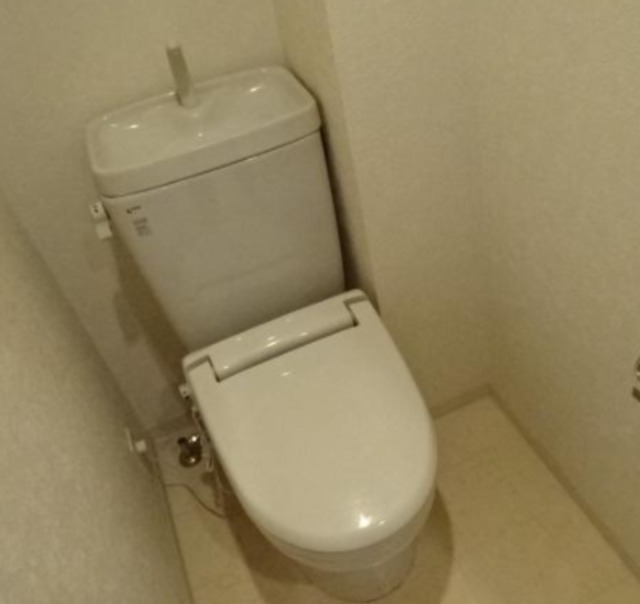 拡大写真:ドゥーエ森ノ宮 3階303の内観