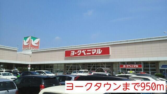 拡大写真：フラン　カギトリ 1階102のヨークタウンまで950m