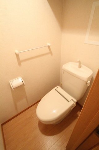拡大写真:TD下南部Ⅱ 2階203の落ち着いたトイレです
