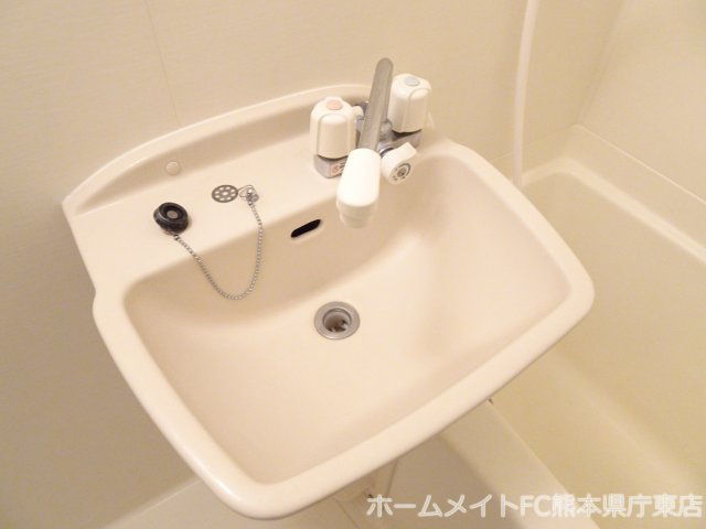 拡大写真:熊本市南区出仲間4丁目 1階102の洗面所