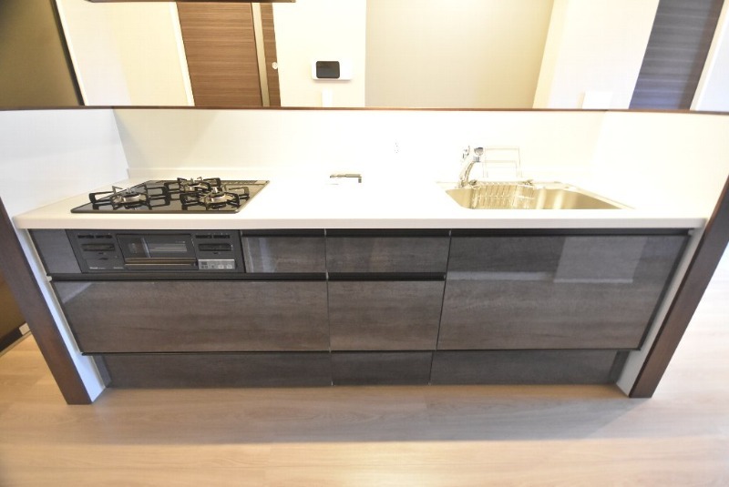 拡大写真:CASA ニックスⅤ 2階203のシステムキッチン