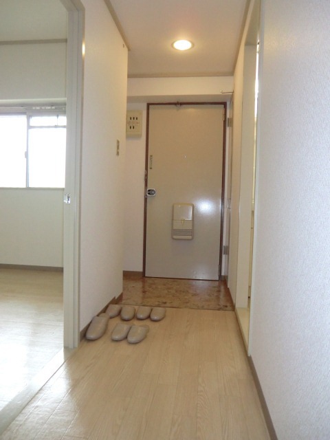 拡大写真:大阪市淀川区新北野2丁目 3階303の玄関