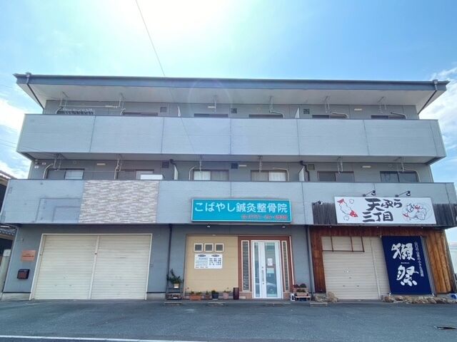 ホームメイト グリーンコート中野 3階301