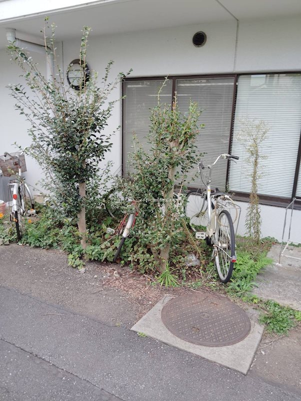 拡大写真:QU館 2階Eの庭