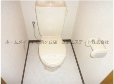 拡大写真:グランソレイユK&J壱番館 2階211の清潔感のあるトイレです