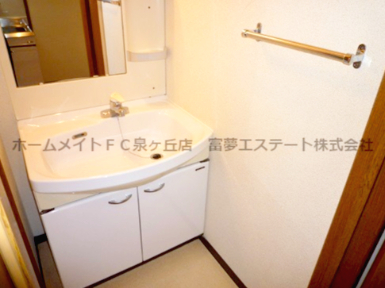 拡大写真:グランソレイユK&J壱番館 2階211の独立洗面台あり、毎朝おしゃれに忙しい女性の方におすすめです