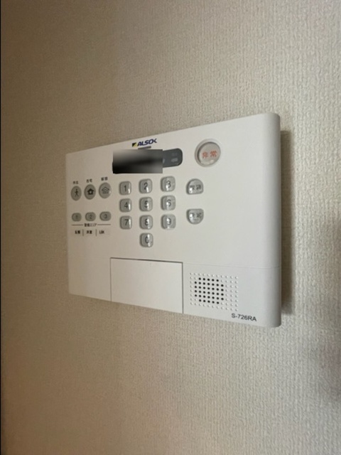 拡大写真:D-room今川 A棟 2階205の内観