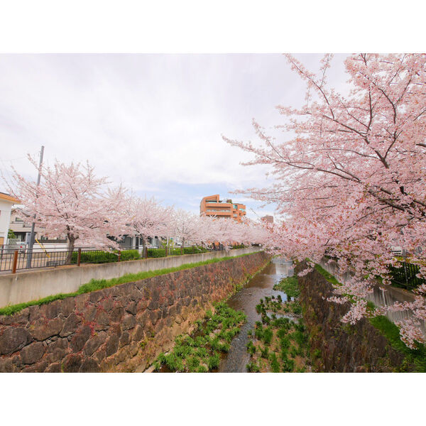 拡大写真：エミネンス石川橋 4階401の展望