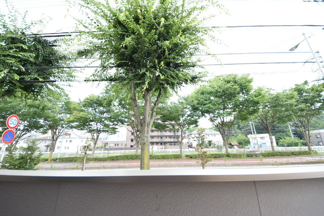 拡大写真:サニーフラット 1階105の★陽当りのよいお部屋です★