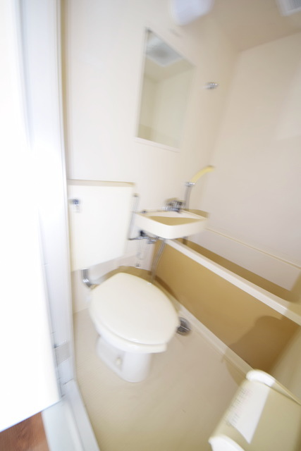 拡大写真:フレンドポート淵野辺第5 3階308の〜トイレの空間も落ち着く〜
