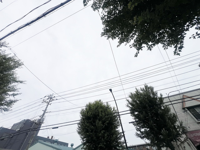 拡大写真:Ciel Terrace 1階105の〜ヤッホー〜