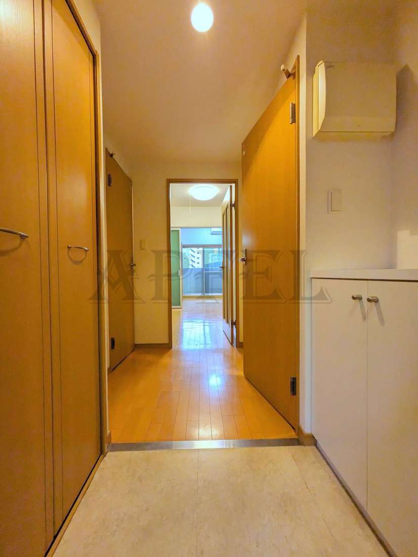 拡大写真:ONE ROOF FLAT FUKUSHIMA 10階1010の玄関