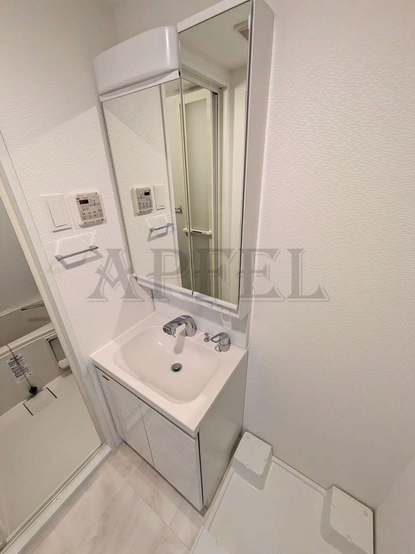拡大写真:S-RESIDENCE福島玉川Tres 5階502の洗面所