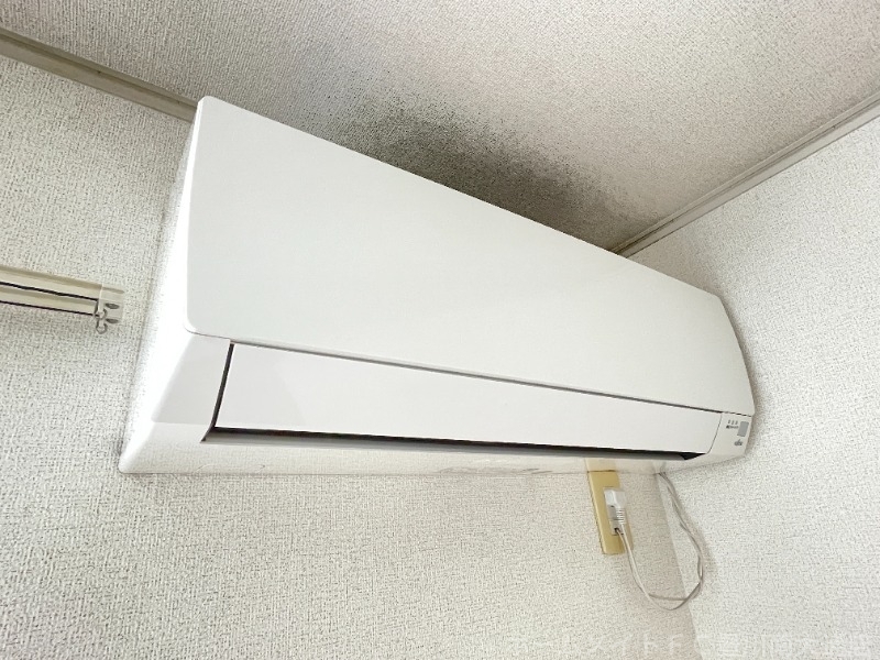 拡大写真:サンフラワー 1階103のその他設備