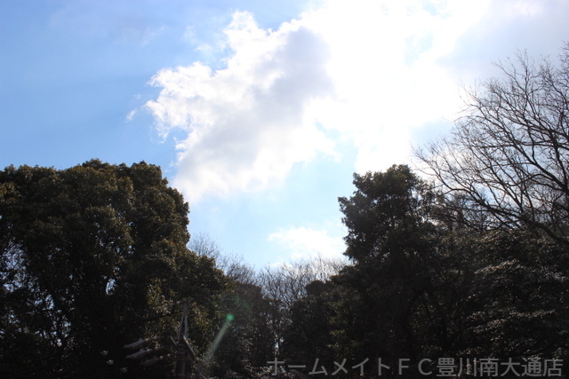 拡大写真:グリーンライフ山ノ沢 3階3Eの眺望