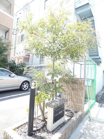 拡大写真:尼崎市宮内町3丁目 1階103の外観