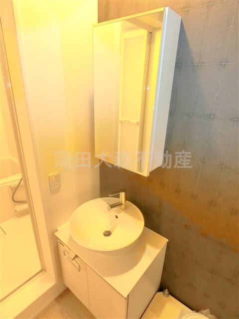 拡大写真:大田区西蒲田1丁目 1階103の独立洗面台 洗面脱衣所