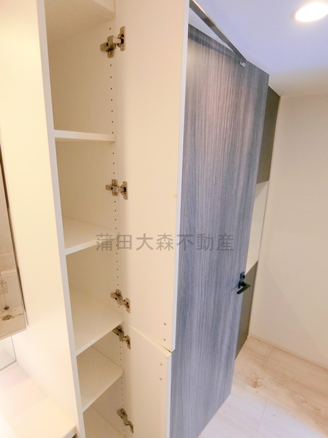 拡大写真:デュオステージ蒲田 13階1304の洗面所収納