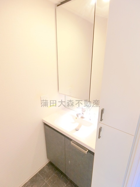 拡大写真:デュオステージ蒲田 13階1304の2面鏡の独立洗面台 タオルや肌着入れにちょうどいい棚収納付き