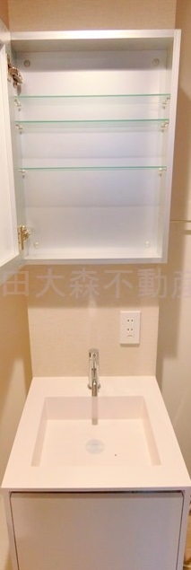 拡大写真:ディアマンテ糀谷 3階302の独立洗面台!