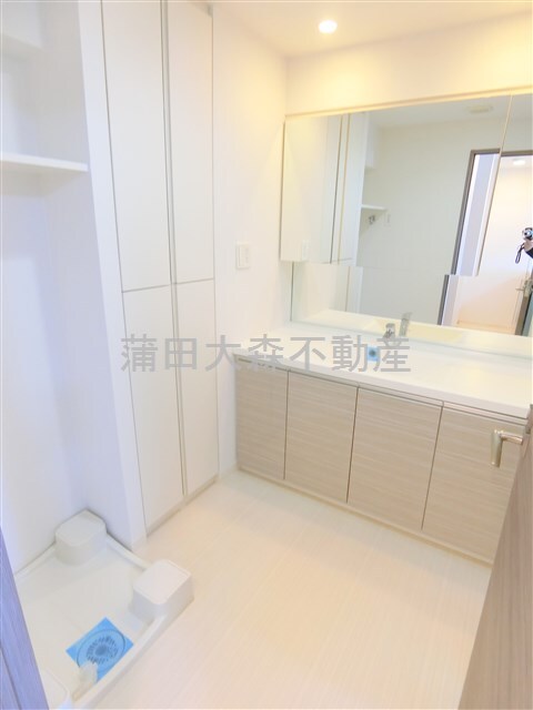 拡大写真:AXAS千鳥町アジールコートSta. 7階701の大きな3面鏡の独立洗面台 洗面脱衣所 棚収納付きの洗濯機置き