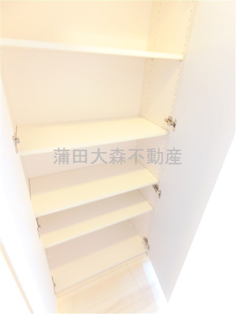 拡大写真:AXAS千鳥町アジールコートSta. 7階701の廊下リビング入口の収納