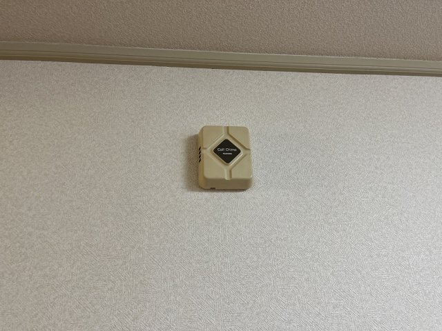 拡大写真:大阪市東淀川区大桐2丁目 1階114のセキュリティ