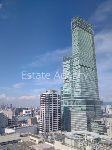 拡大写真:大阪市阿倍野区阿倍野筋1丁目 33階33の外観