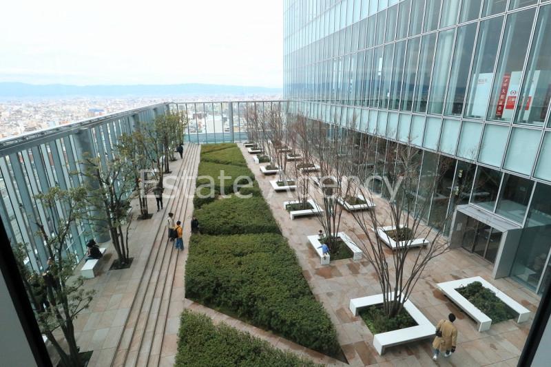 拡大写真:大阪市阿倍野区阿倍野筋1丁目 33階33の内観