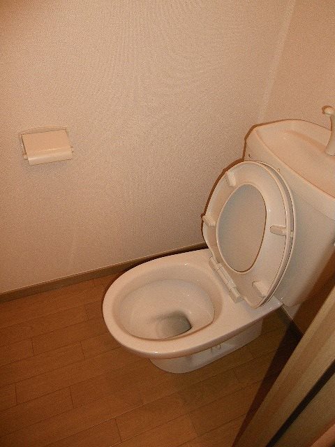 拡大写真:ドルフM 3階303のその他