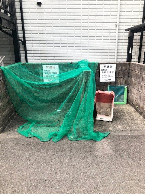 拡大写真:ドルフM 3階303のその他
