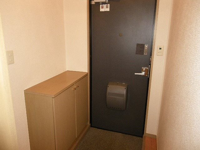拡大写真:ドルフM 3階303の玄関