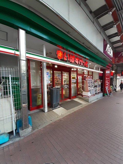 拡大写真:プラム ハウス 1階K1のその他