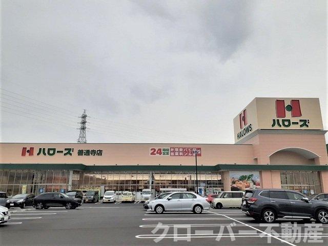 拡大写真:ウェルリッチ善通寺 Ⅰ 1階101のハローズ善通寺店まで650m