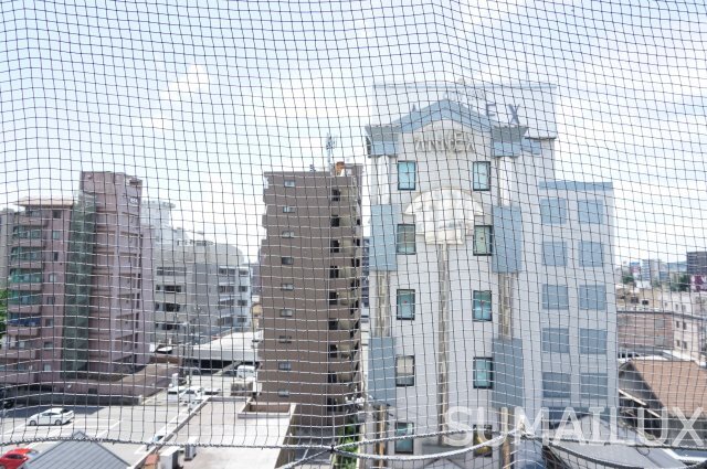 拡大写真:熊本市中央区九品寺1丁目 2階204の展望