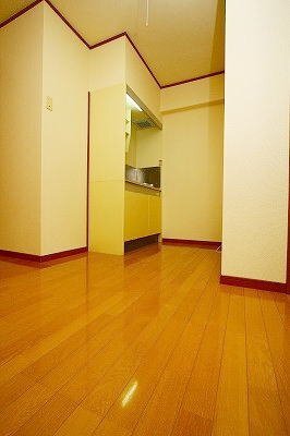 拡大写真:プレジデンシャル白山 3階301の内装は落ち着いています