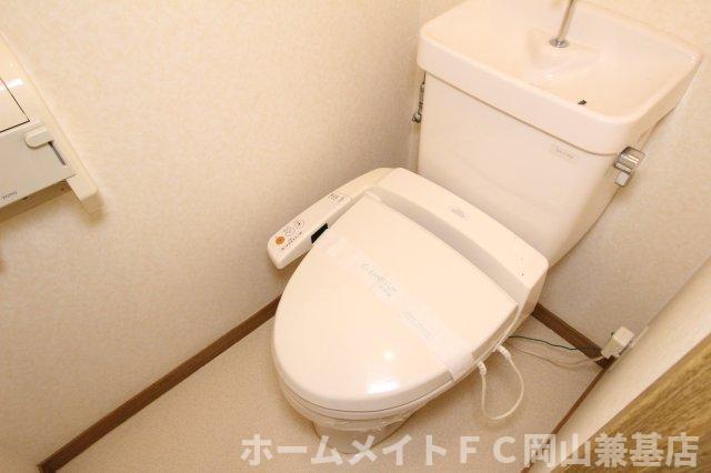 拡大写真:岡山市中区藤原西町1丁目 1階105のトイレ