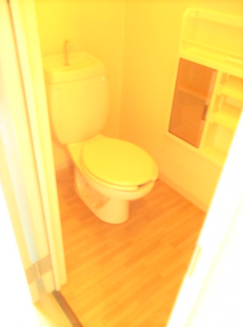 拡大写真:ミーツハオスK B棟 2階203の落ち着いたトイレです