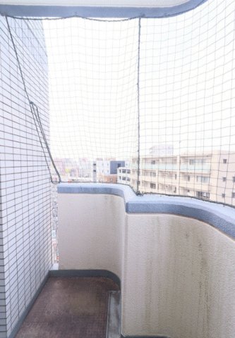 拡大写真:ダイナコート久留米駅前 8階806のバルコニー