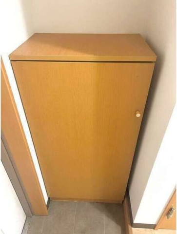 拡大写真：A・City三河安城東町 4階418の同物件の別部屋になります。